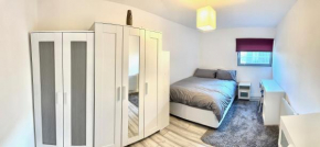 Large Double Room in Cardiff City Centre with Live in Host